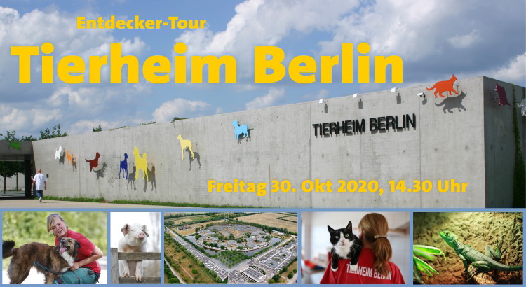 Von Affen bis Zebrafinken: Exklusive Führung durch das Tierheim Berlin am 30. Oktober 2020 mit Daniel Buchholz, MdA 1